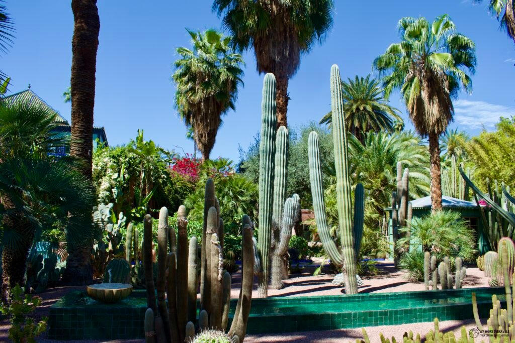 Jardin Majorelle Marrakech