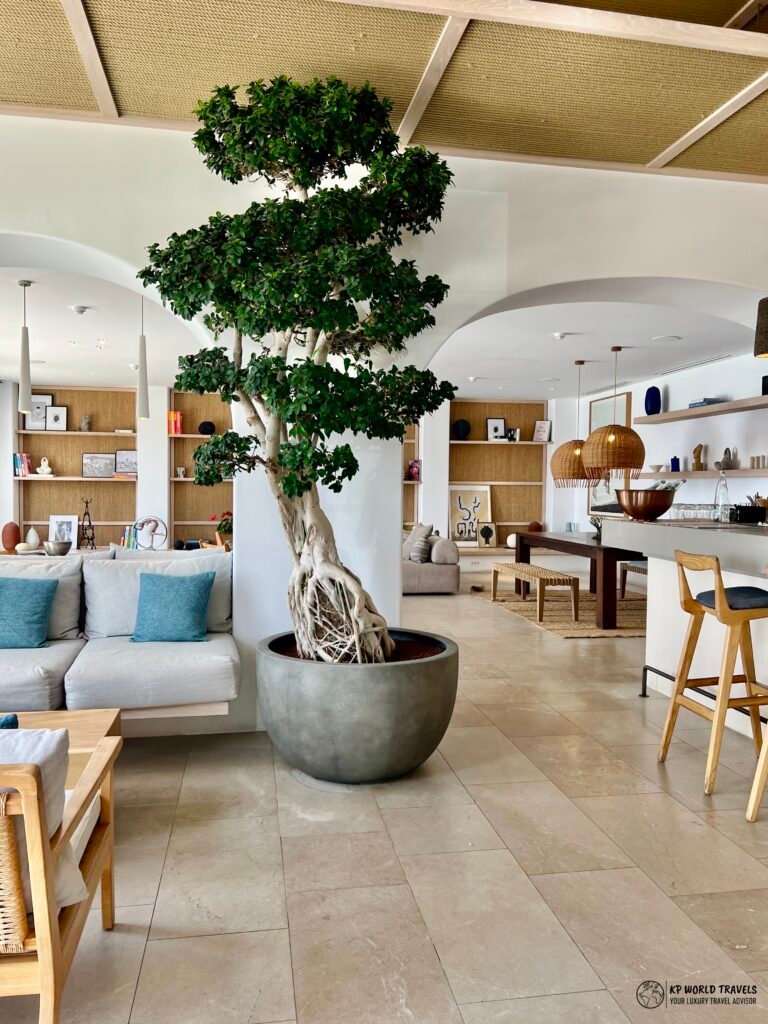 Canaves Epitome Lobby