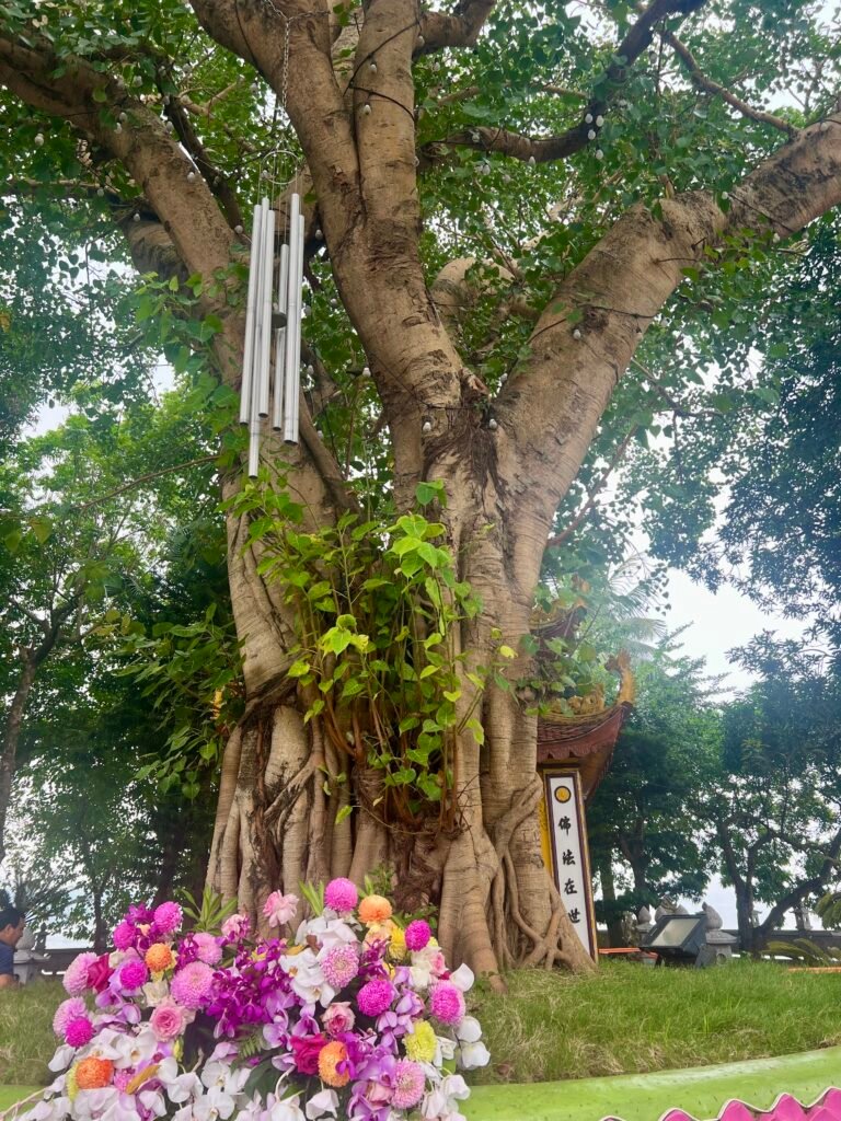 Things to do in Hanoi tran quoc pagoda