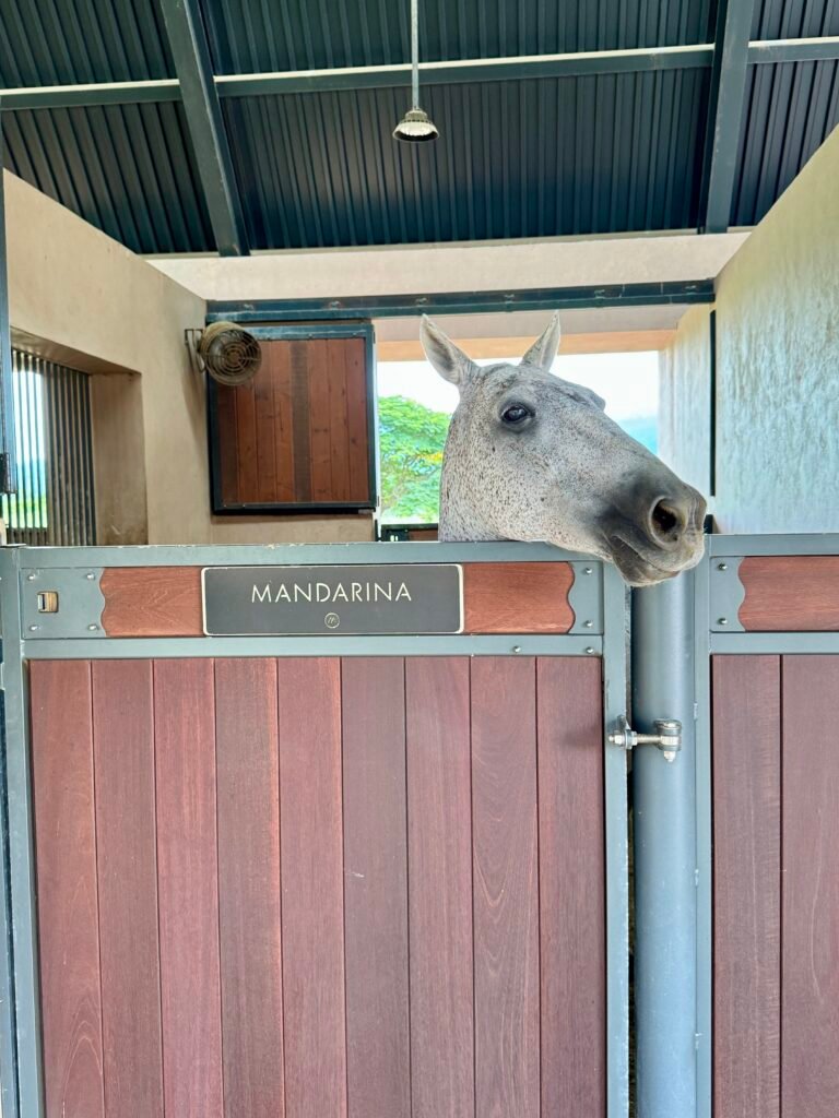 One&Only Mandarina Complex Horses